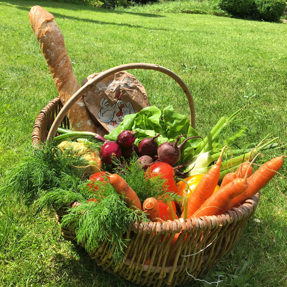 Olika grönsaker i en picknickkorg