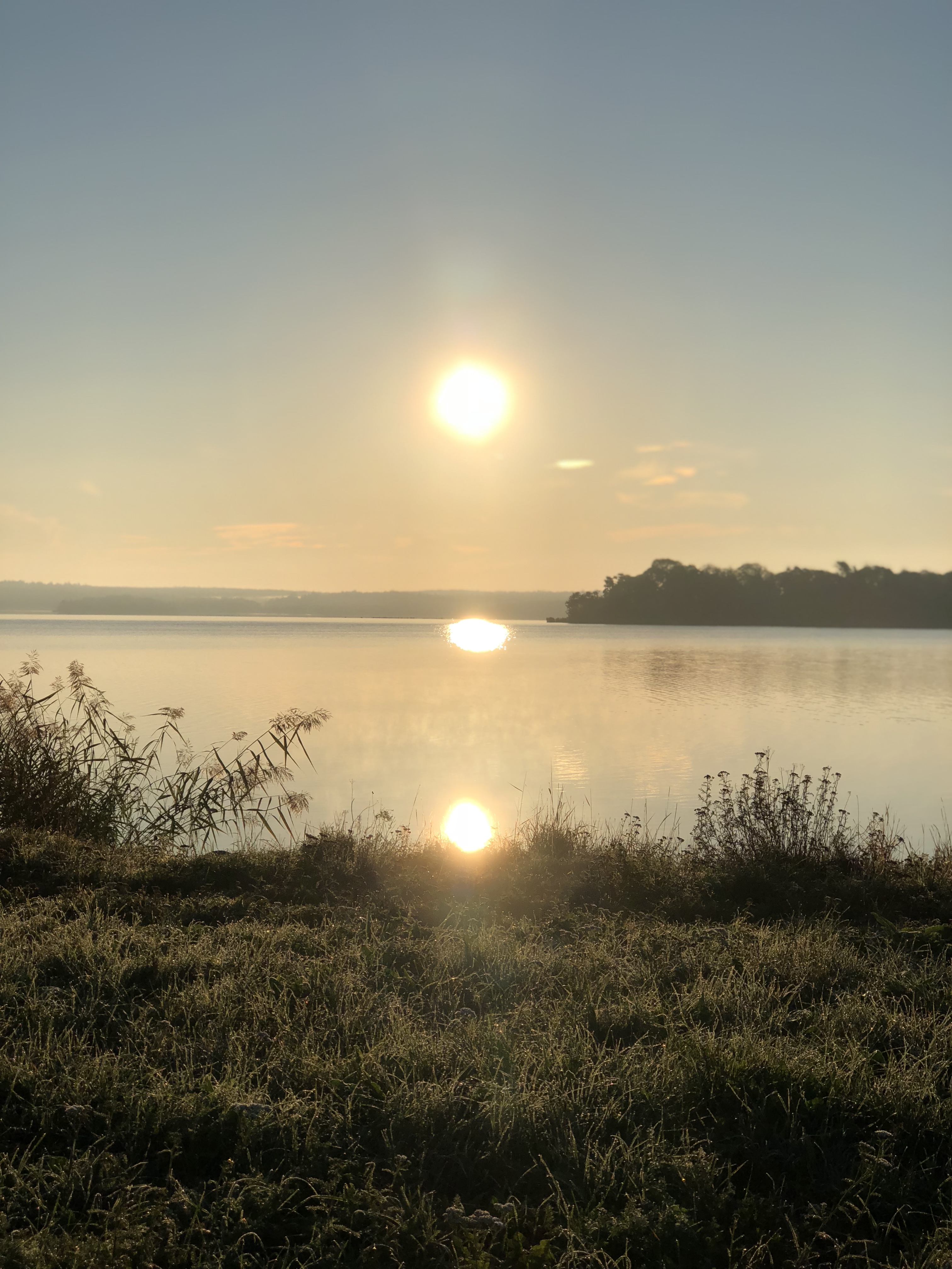 Gårdagens morgonpromenad