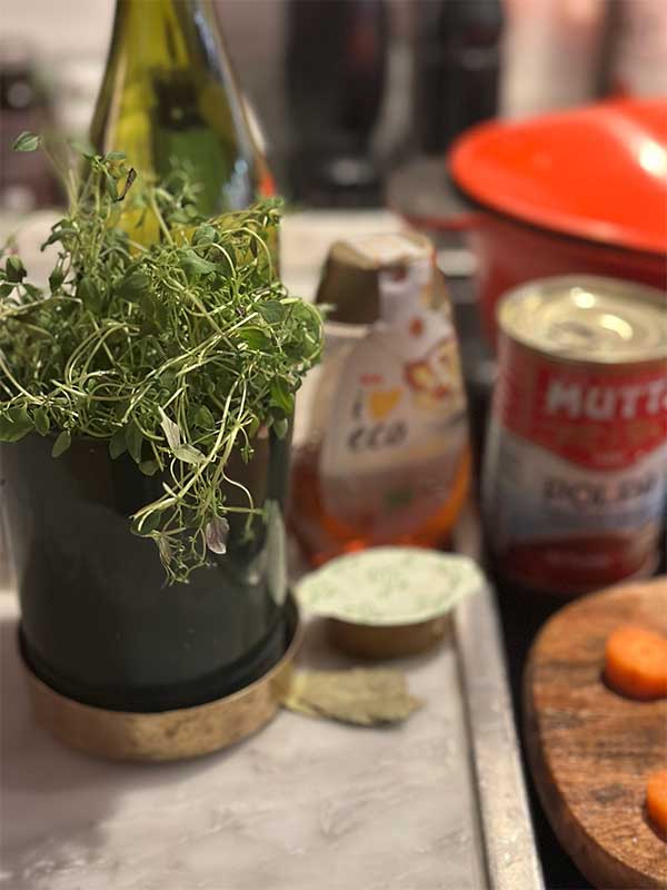 Ingredienser till mustig soppa