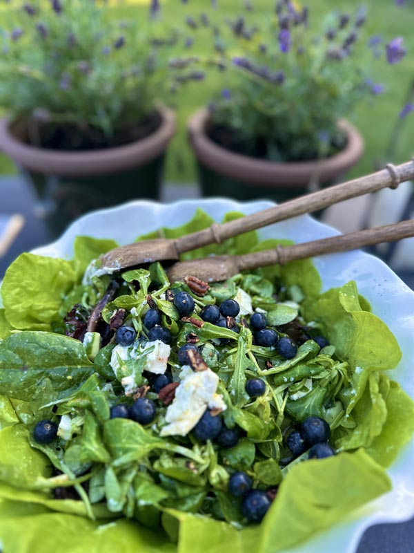 Sommarsallad med gurka, blåbär, rostade pekannötter och getost